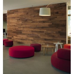 Wall Haro- Design Patagonia...